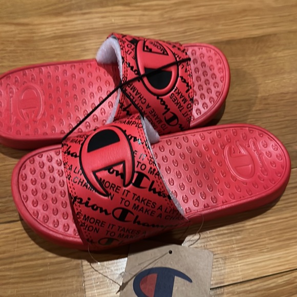 Champion Preschool IPO IT TAKES A LITTLE MORE TO MAKE A CHAMPION Print - Picture 9 of 13